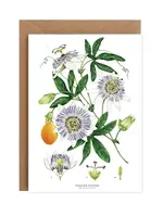 Catherine Lewis Design Catherine Lewis Design Passion Flower Card