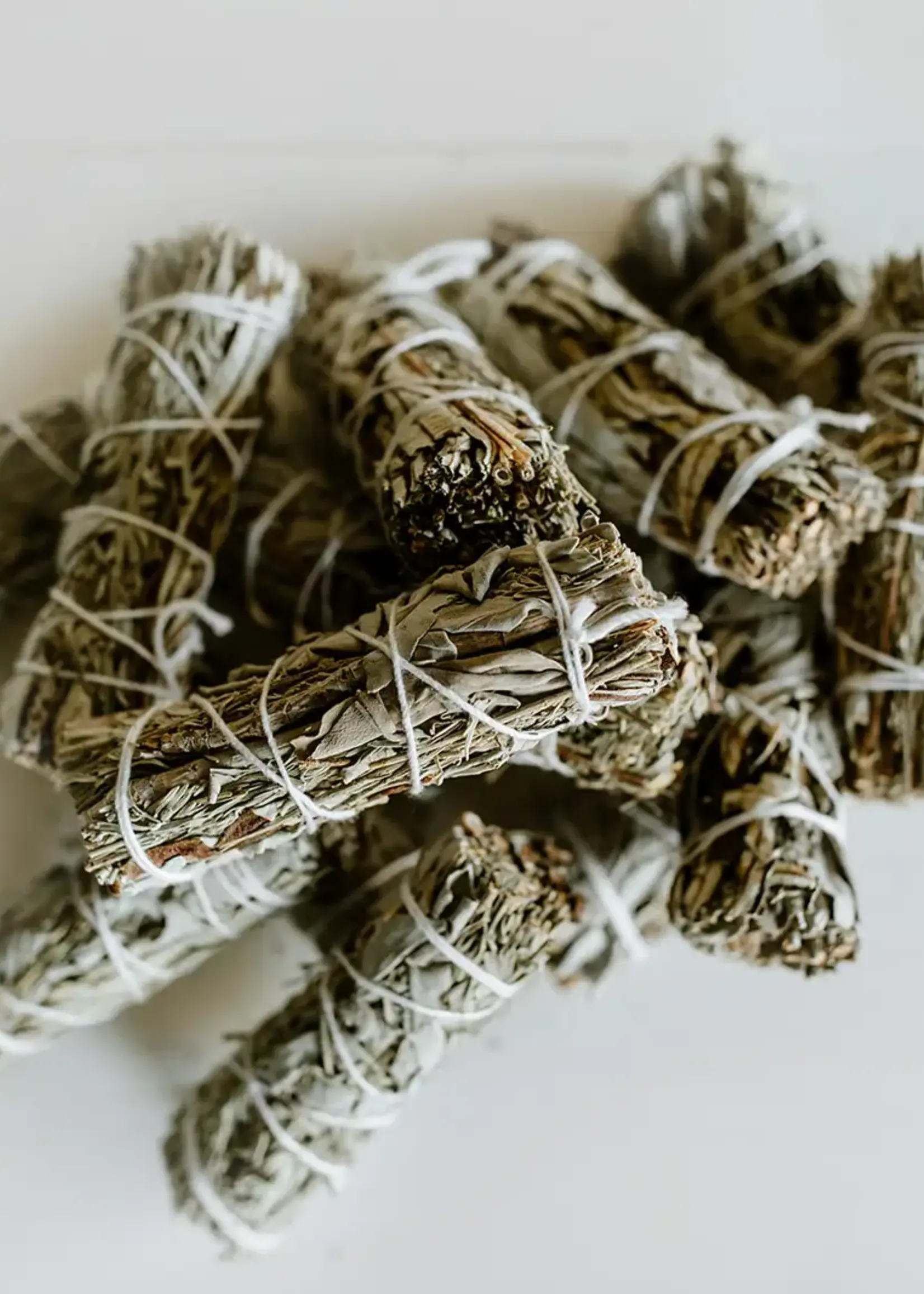 Standing Spruce Blue & White Sage Smudge Sticks