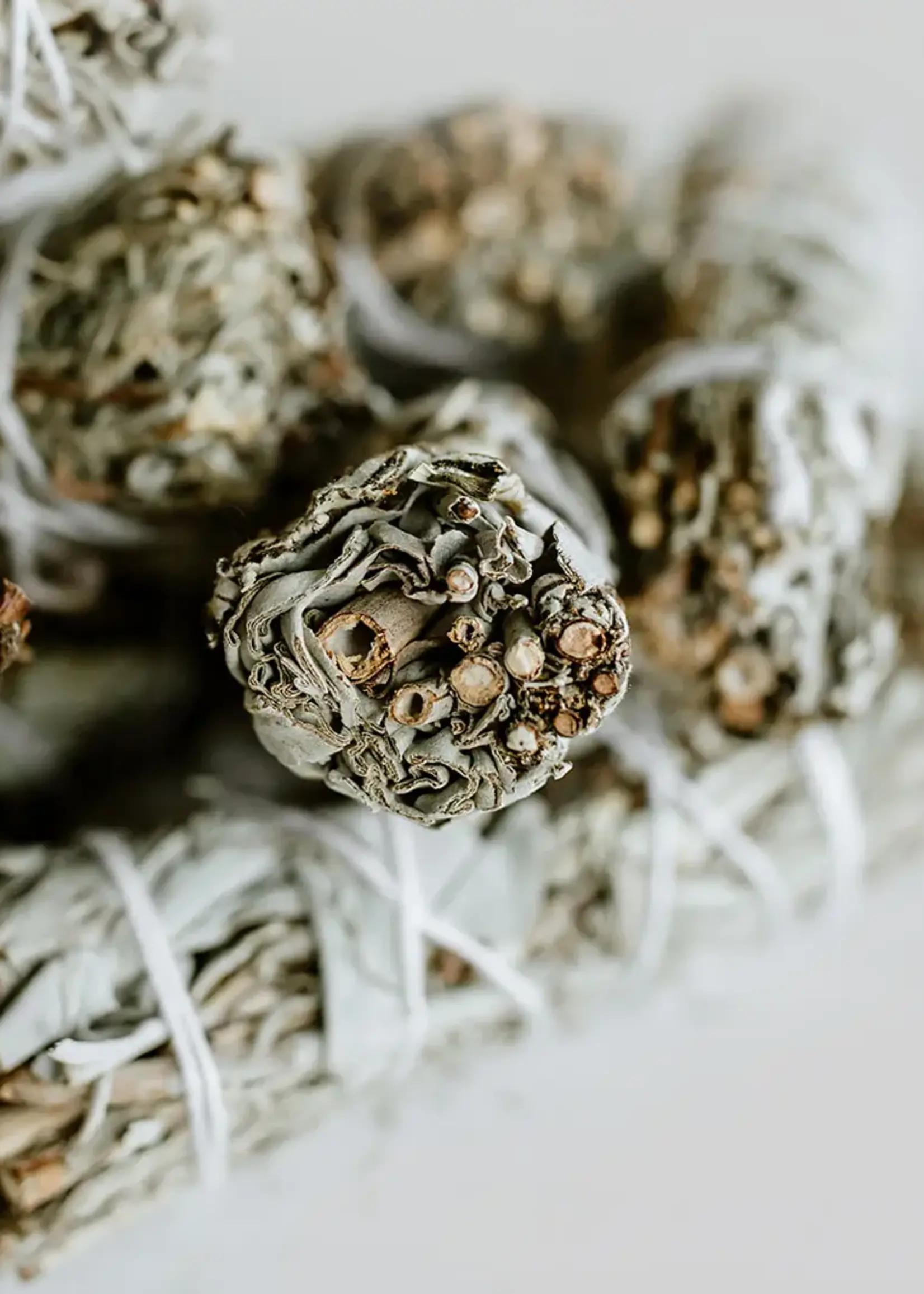 Standing Spruce Blue & White Sage Smudge Sticks