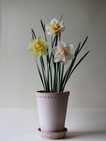 Bergs Potter Bergs Potter HELENA, Raw Rosa 14cm Tall