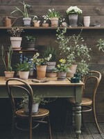 Bergs Potter Bergs Potter HELENA, Raw Rosa 16cm