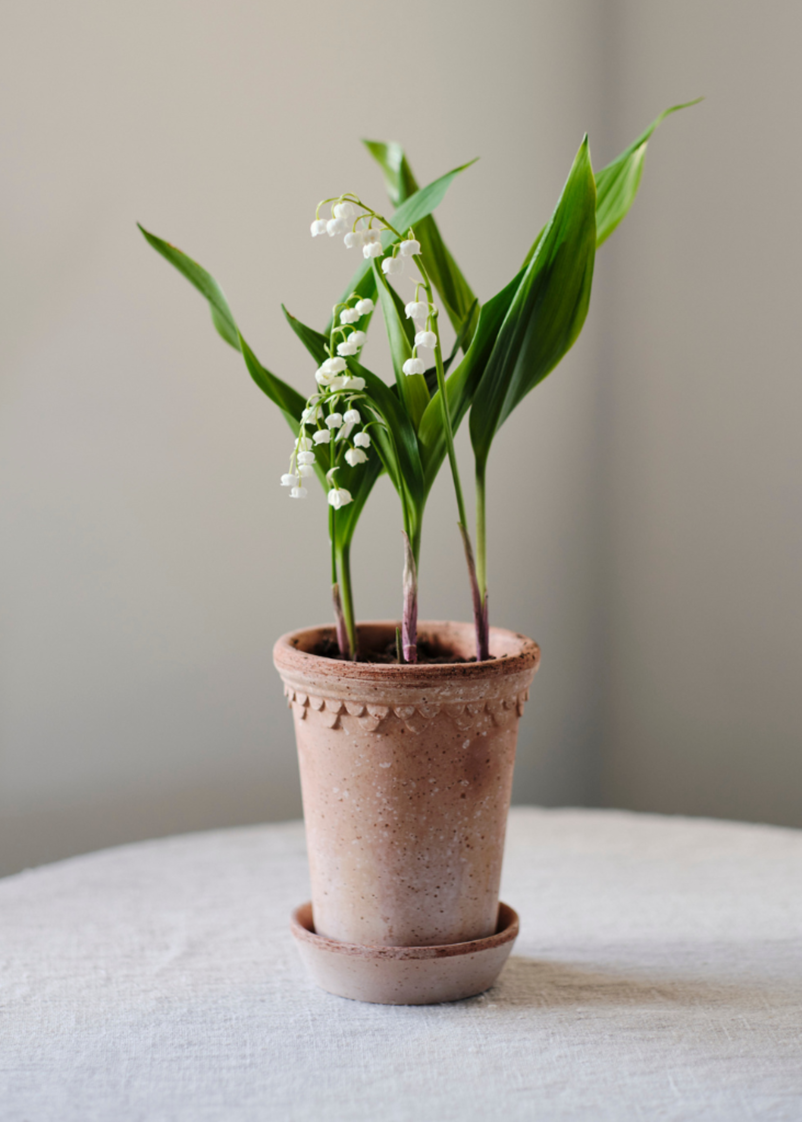 Bergs Potter Bergs Potter COPENHAGEN, Raw Rosa 10cm Tall