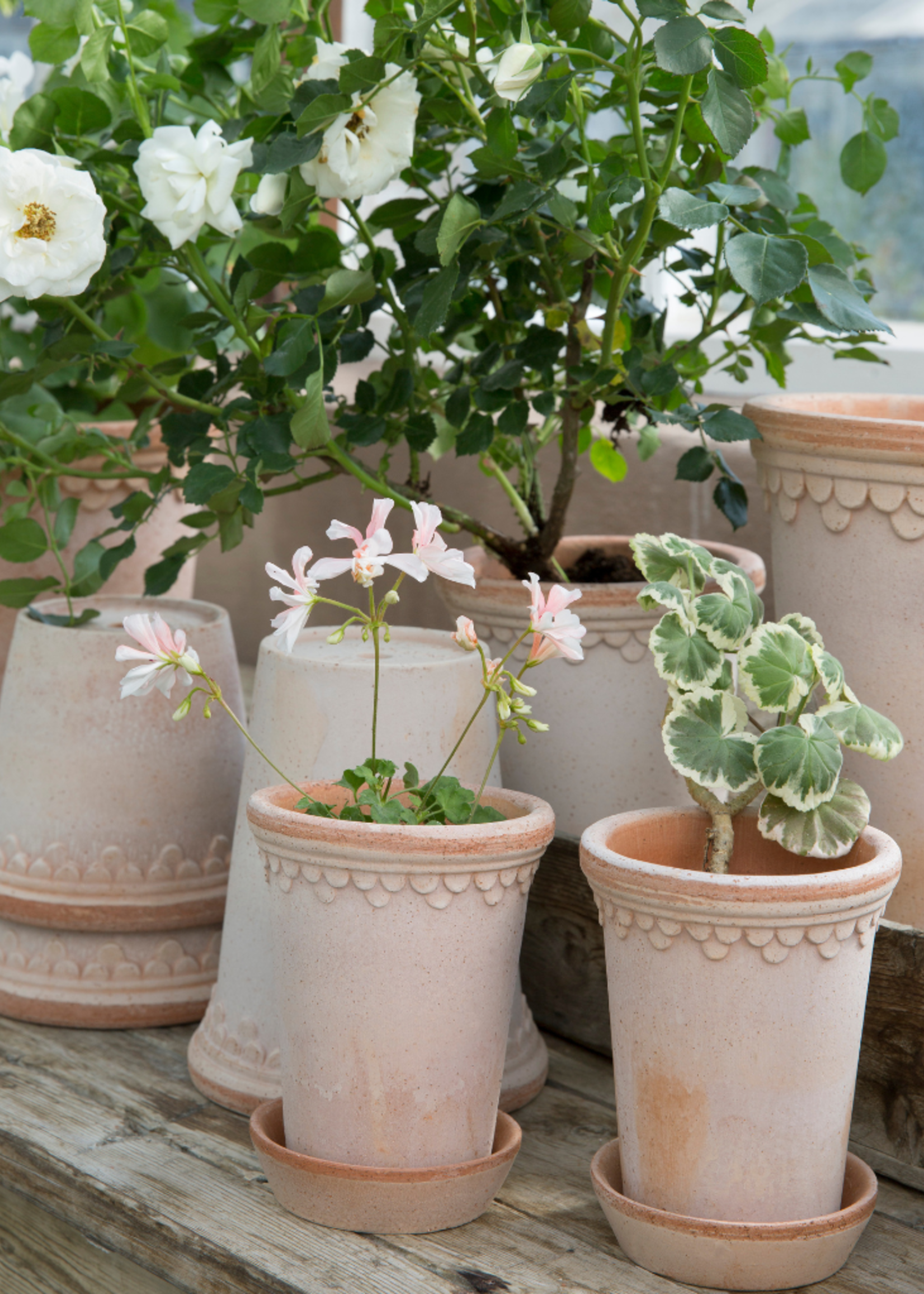 Bergs Potter Bergs Potter COPENHAGEN, Raw Rosa 10cm Tall