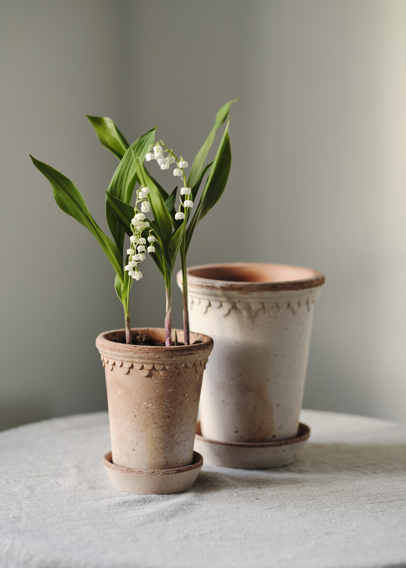 Bergs Potter Bergs Potter COPENHAGEN, Raw Rosa 14cm Tall