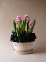 Bergs Potter Bergs Potter COPENHAGEN, Raw Rosa 25cm Low