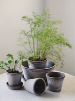 Bergs Potter Bergs Potter COPENHAGEN, Raw Grey 30cm Low