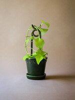 Bergs Potter Bergs Potter ONI, Glazed Moss Green Plant Stake