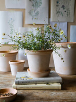 Bergs Potter FLORA, Raw Rosa 25cm