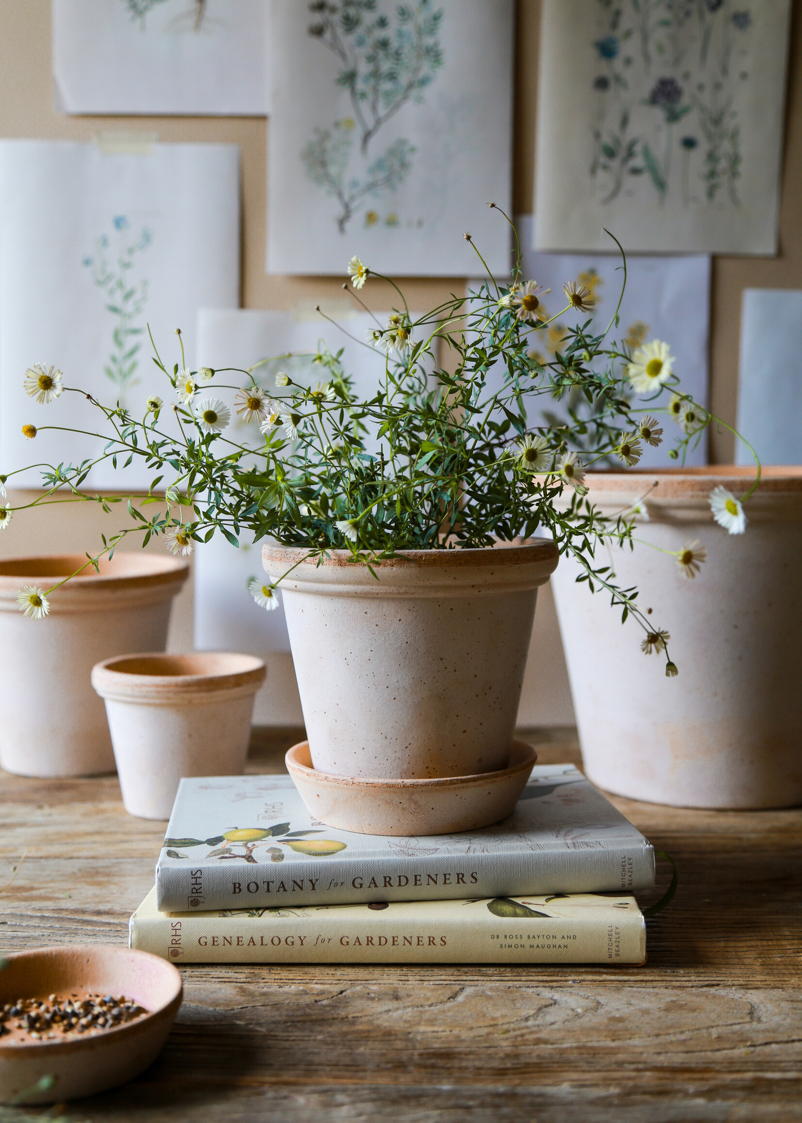 Bergs Potter FLORA, Raw Rosa 25cm