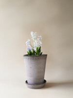Bergs Potter Bergs Potter HELENA, Raw Grey 14cm Tall