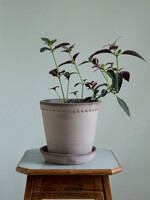 Bergs Potter Bergs Potter HELENA, Raw Grey 25cm