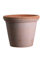 Bergs Potter Bergs Potter FLORA, Raw Rosa 30cm