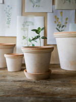Bergs Potter Bergs Potter FLORA, Raw Rosa 35cm