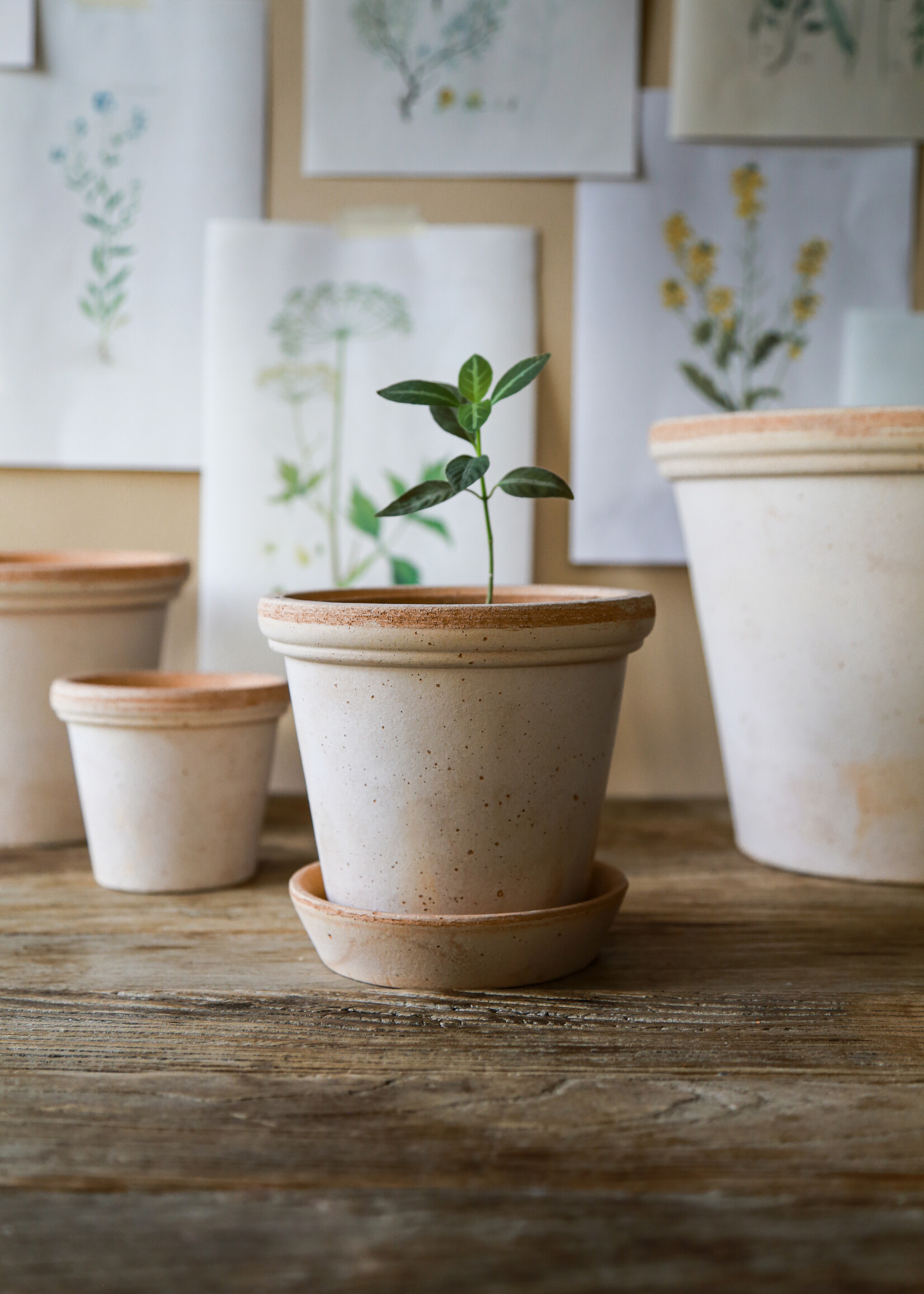 Bergs Potter Bergs Potter FLORA, Raw Rosa 35cm