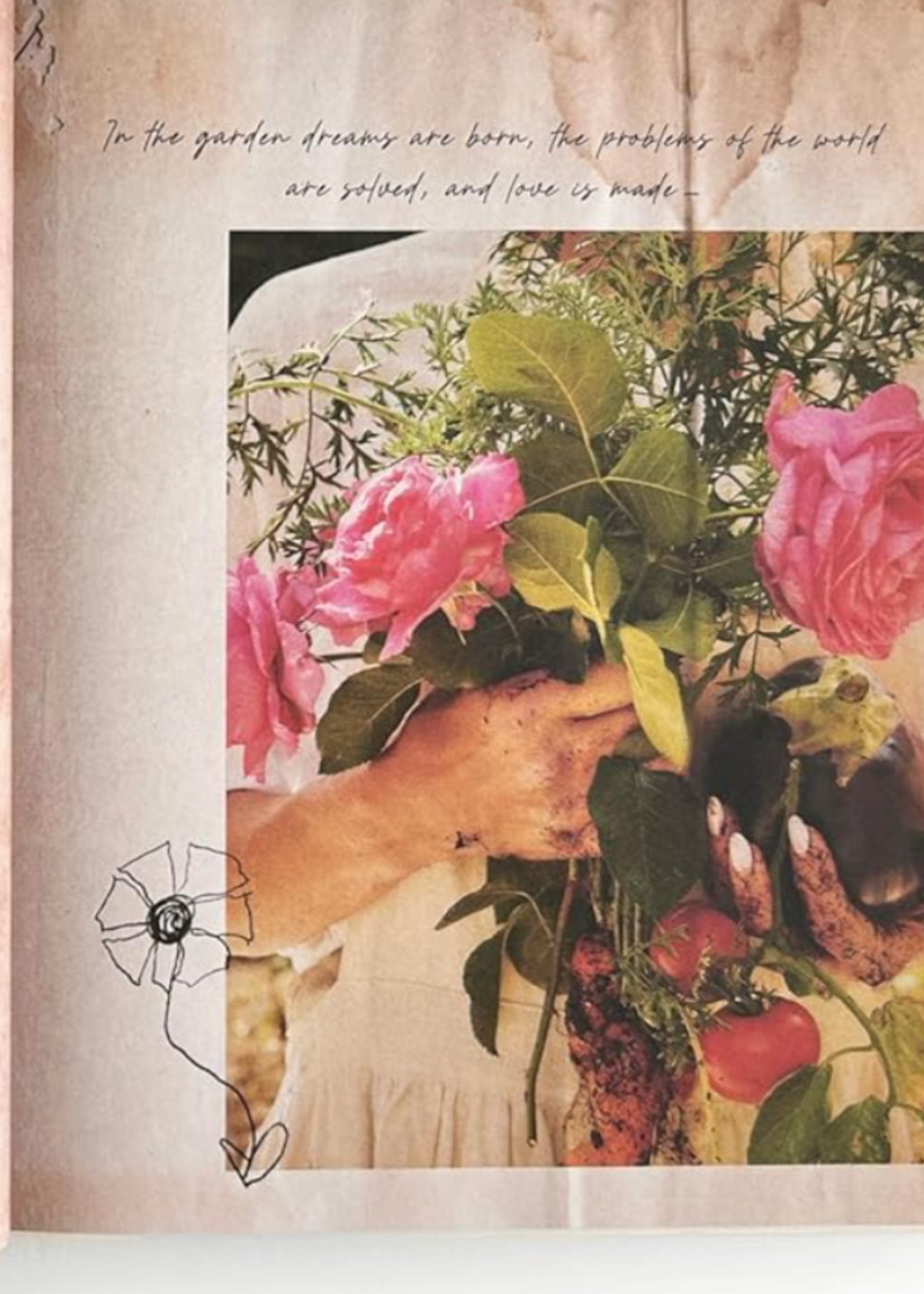 I Love You by Pamela Anderson, Recipes from the heart