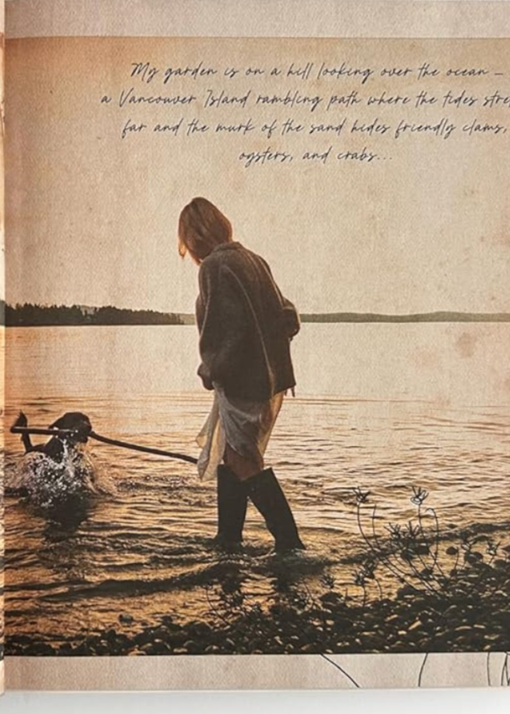 I Love You by Pamela Anderson, Recipes from the heart