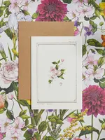 Catherine Lewis Design Catherine Lewis Design, Clematis Card