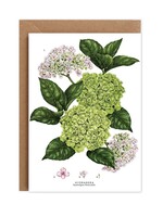 Catherine Lewis Design Catherine Lewis Design Hydrangea Card