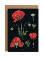 Catherine Lewis Design Catherine Lewis Design, Poppy Card