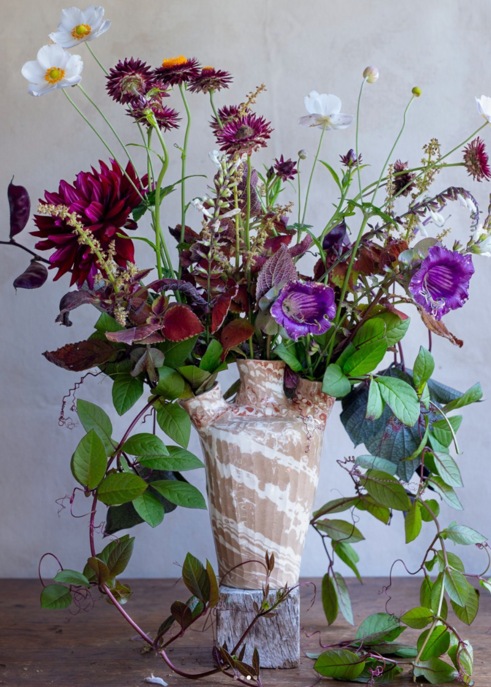 Frances Palmer, My Life With Flowers