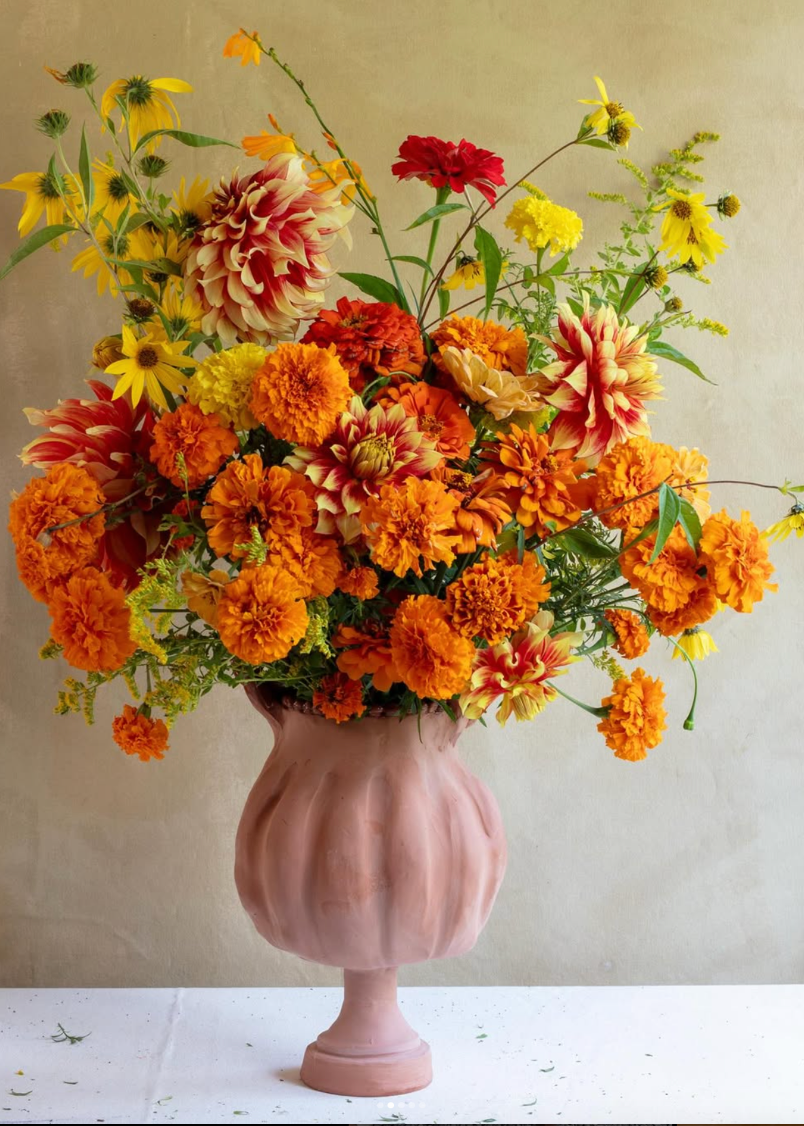 Frances Palmer, My Life With Flowers