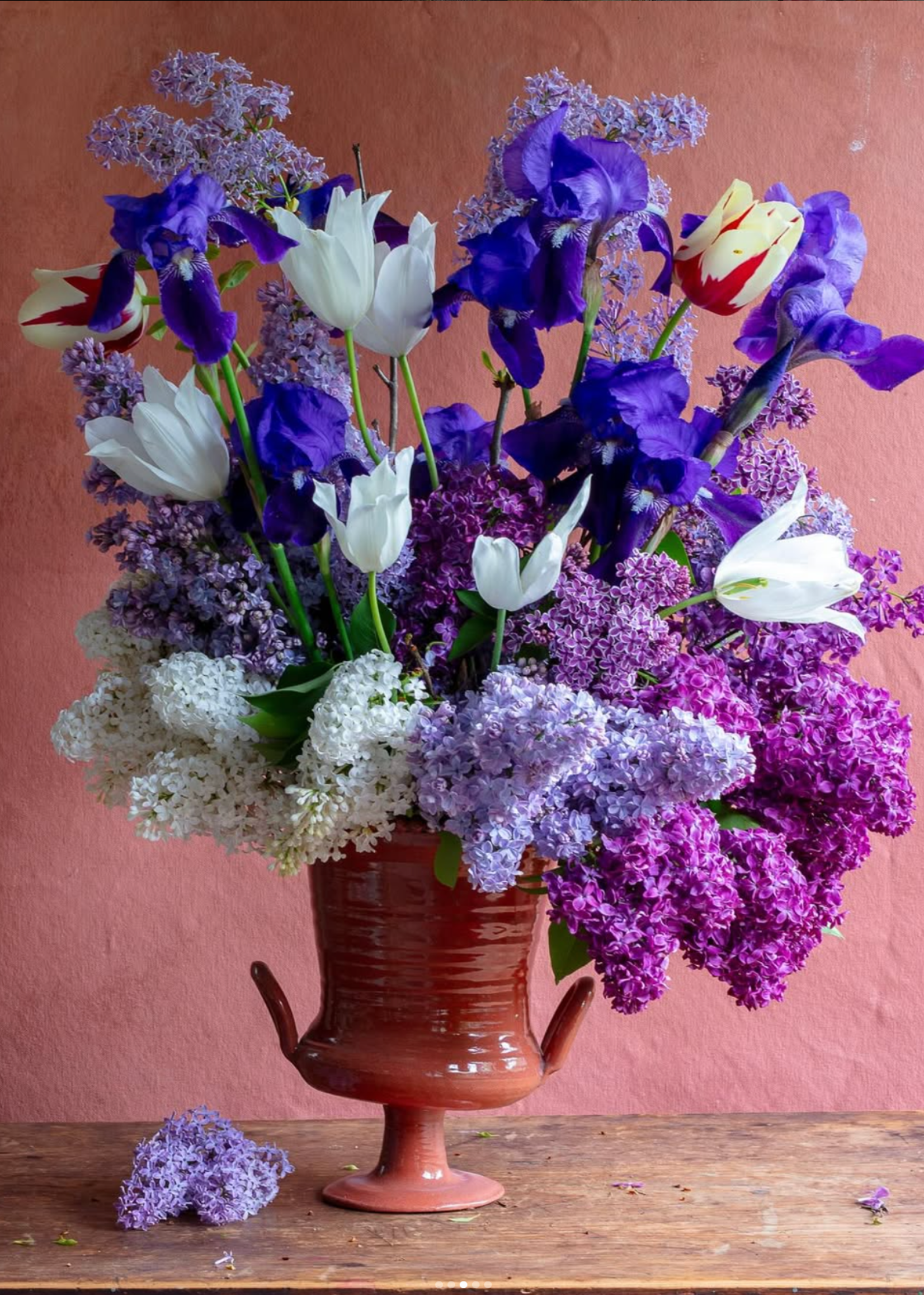 Frances Palmer, My Life With Flowers