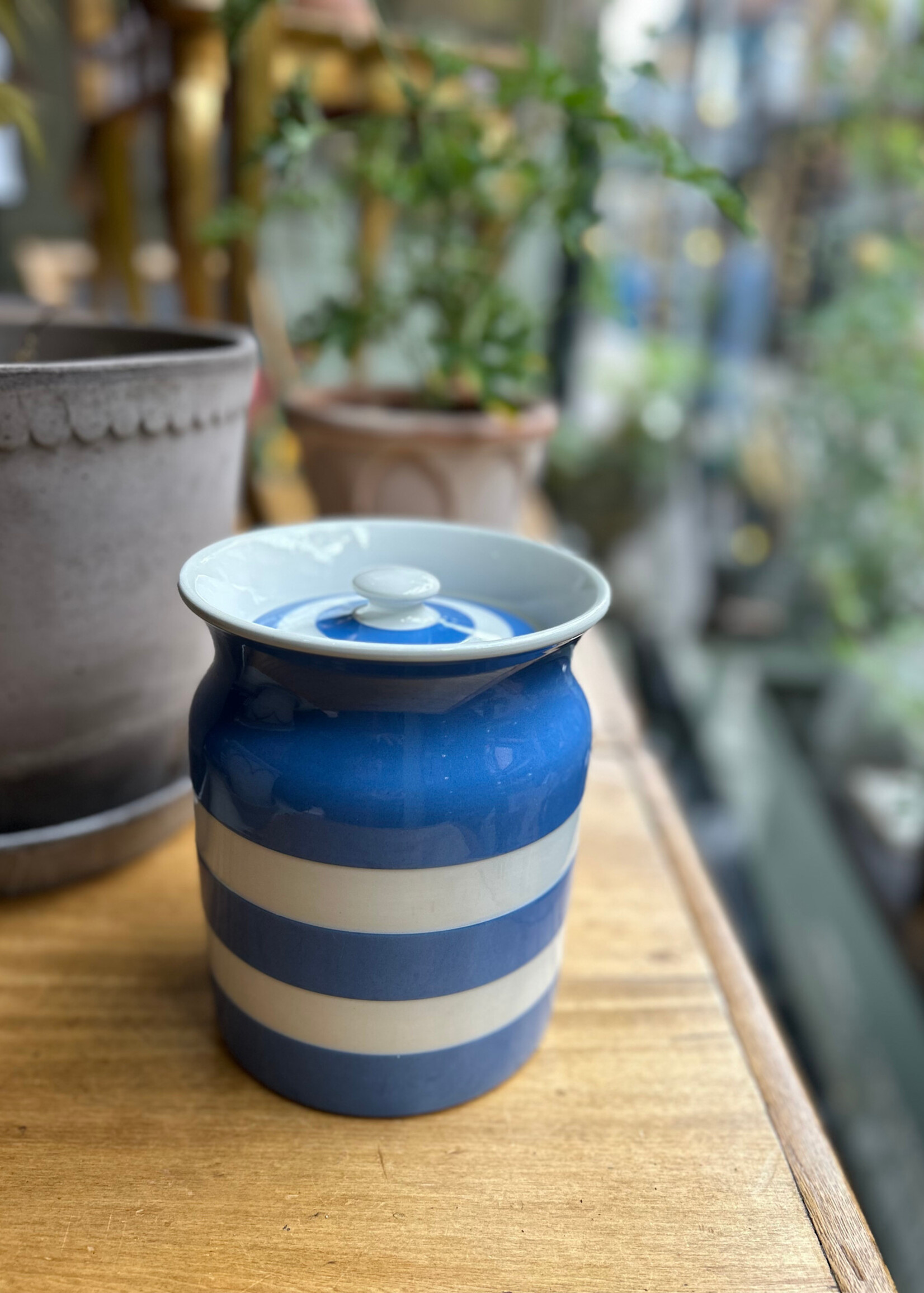 Cornishware Blue and White Canister