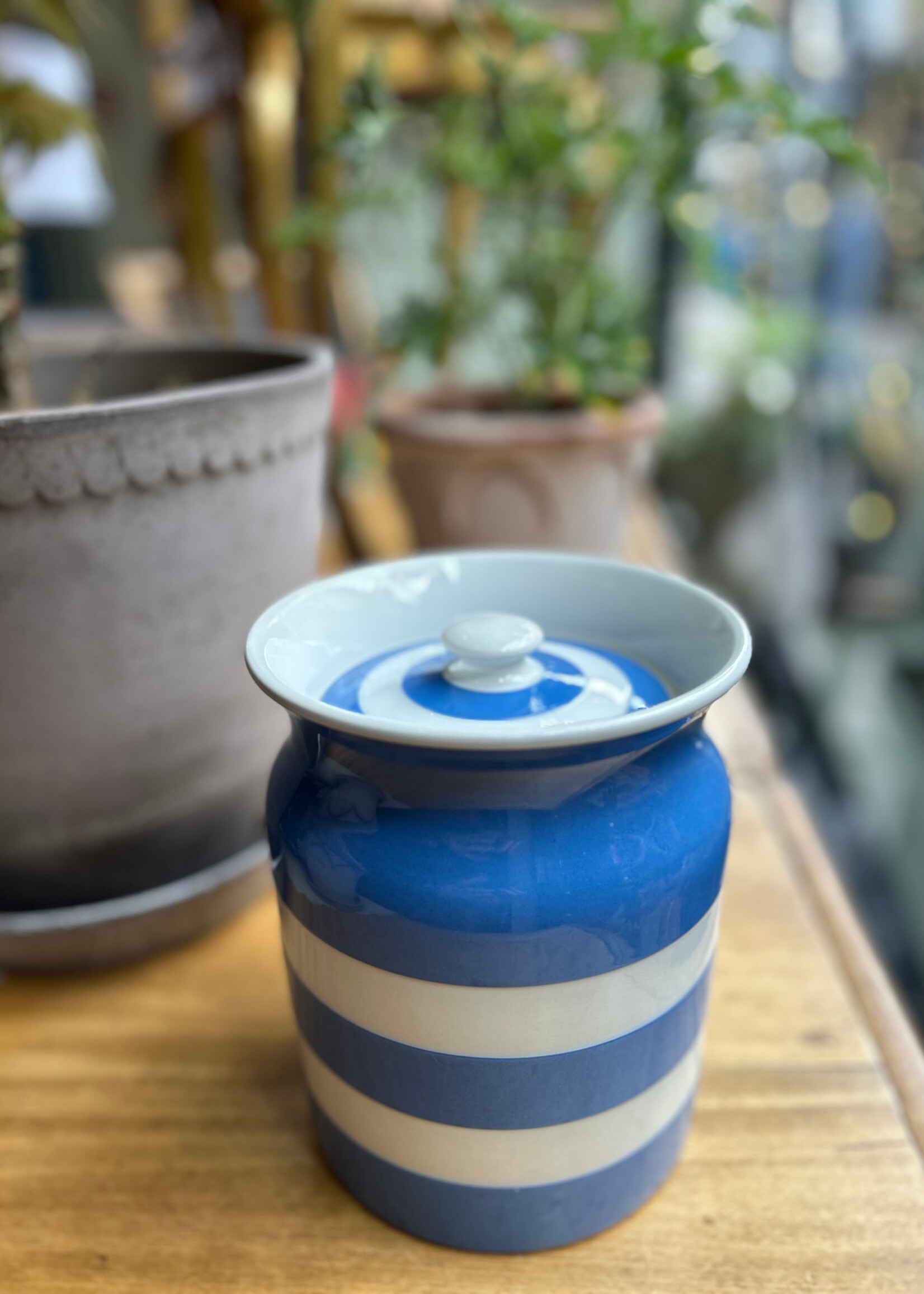 Cornishware Blue and White Canister