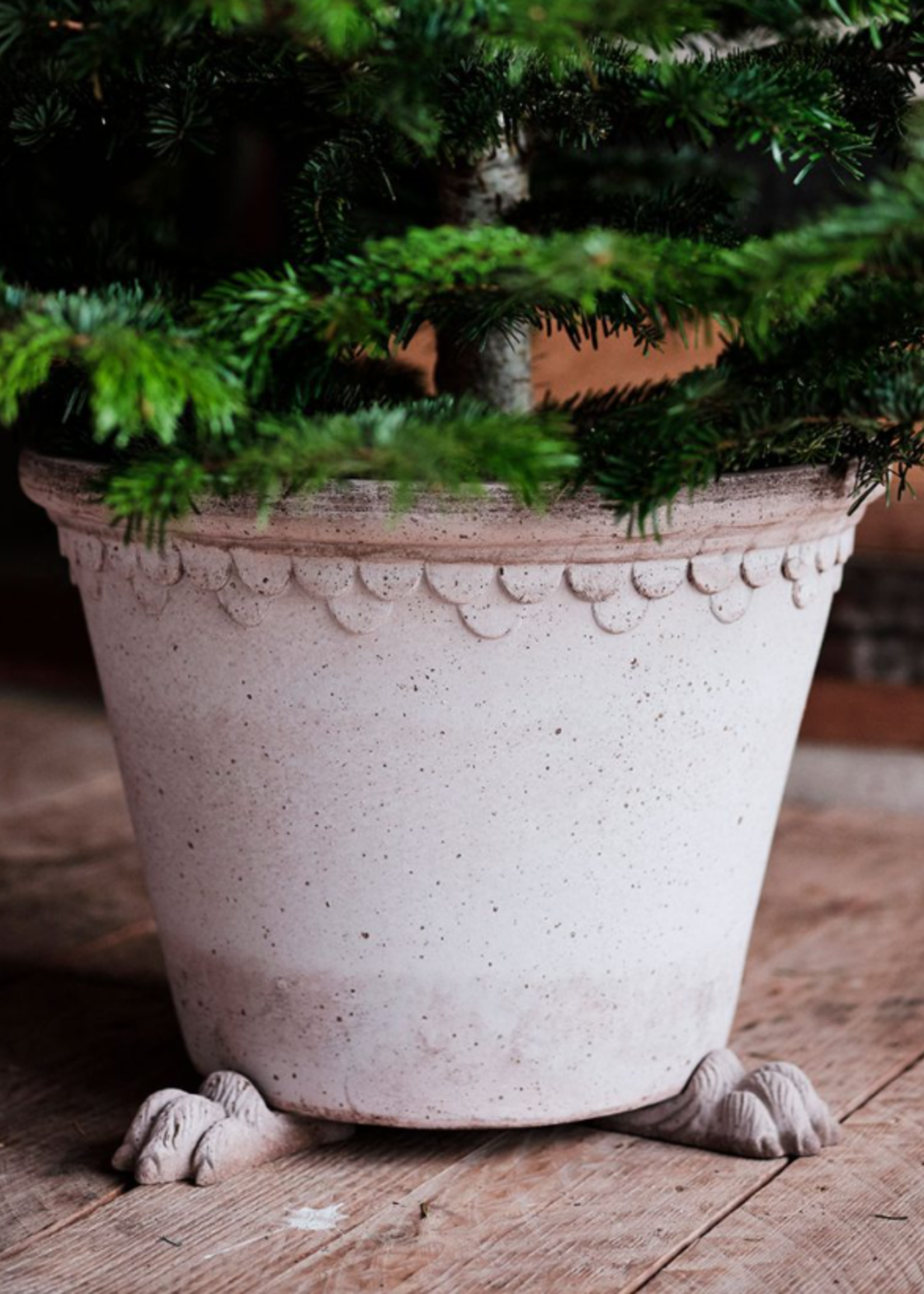 Bergs Potter Bergs Potter Lion Paw, Raw Rosa