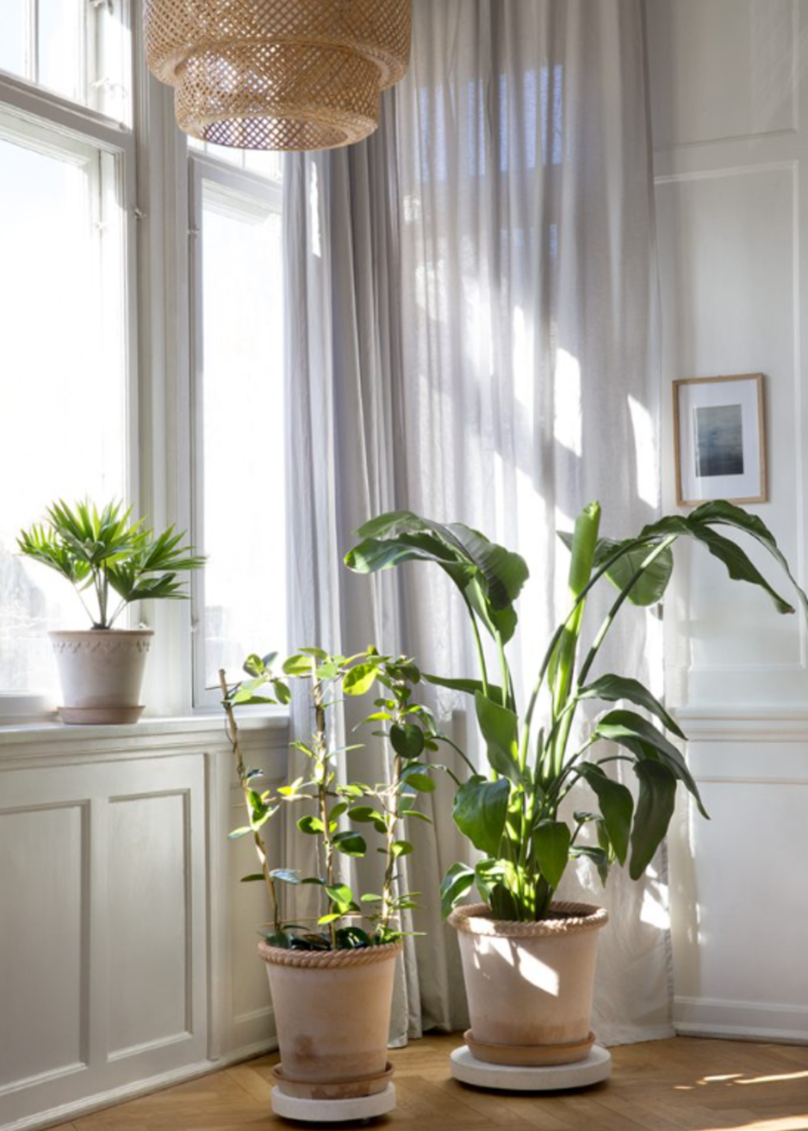 Bergs Potter Bergs Potter EMILIA, Raw Rosa 30cm