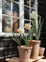 Bergs Potter Bergs Potter ELIZABETH, Raw Rosa 21cm