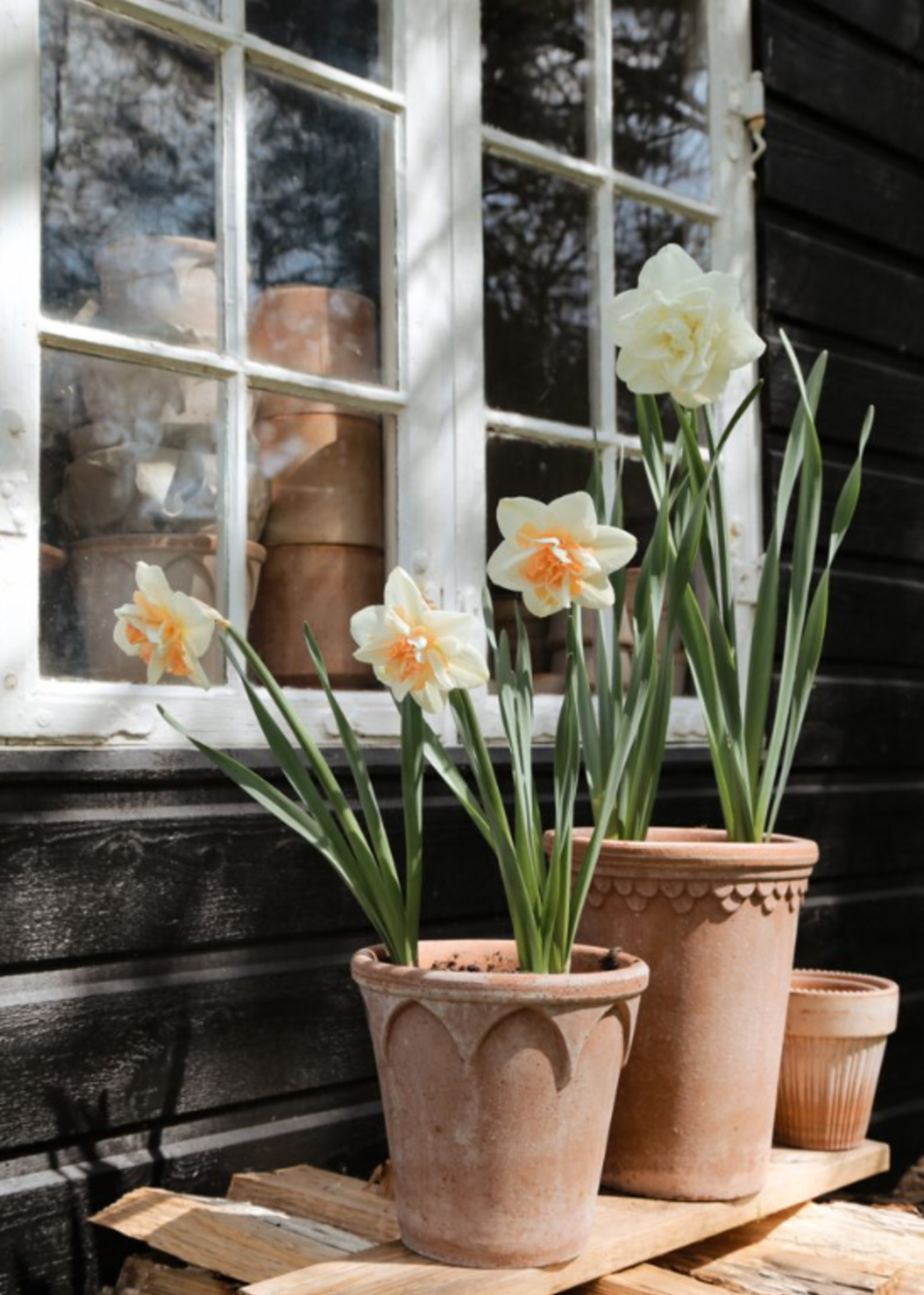 Bergs Potter Bergs Potter ELIZABETH, Raw Rosa 21cm