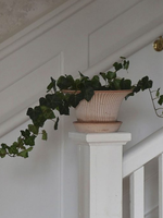 Bergs Potter Bergs Potter DAISY, Raw Rosa