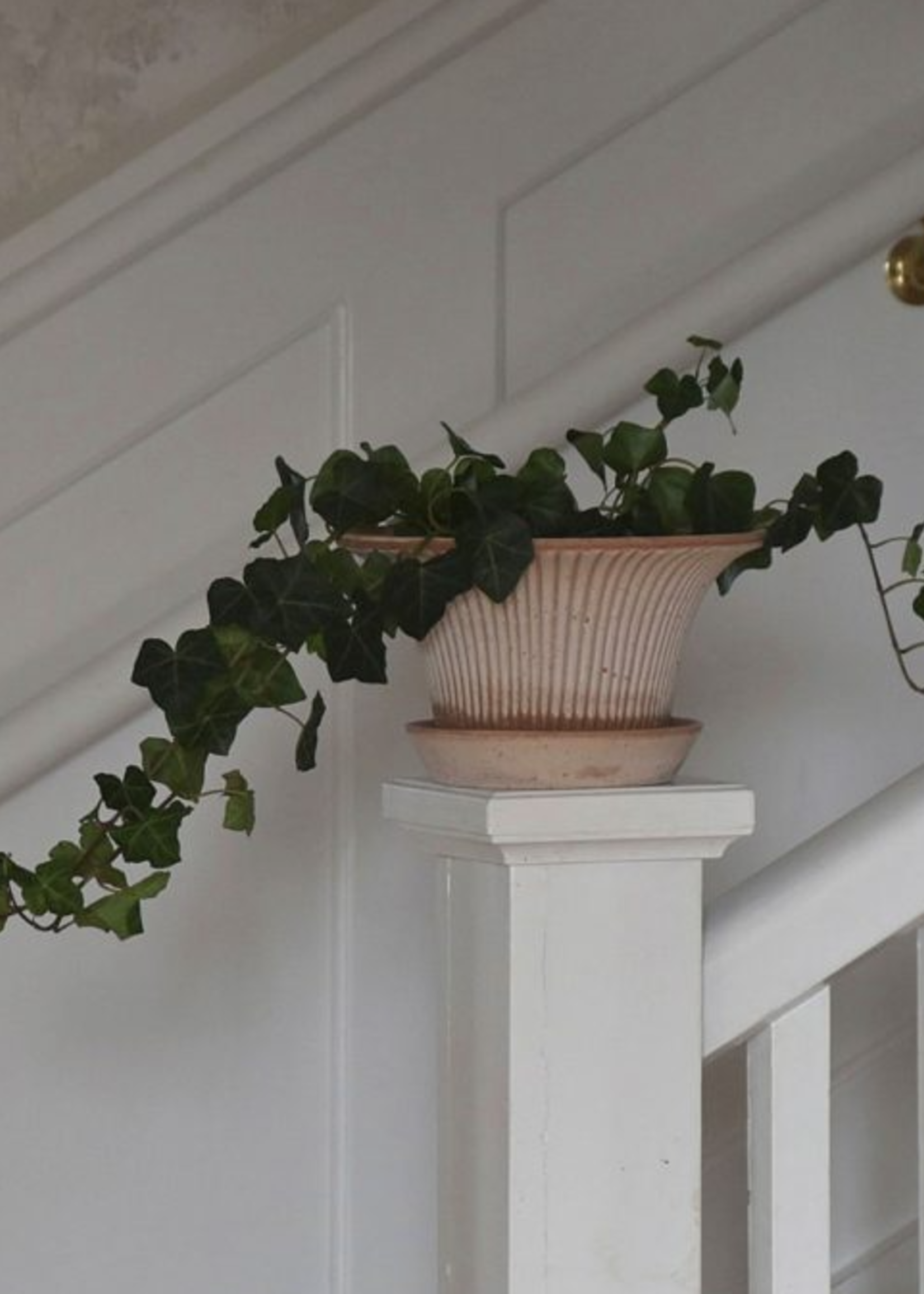 Bergs Potter Bergs Potter DAISY, Raw Rosa