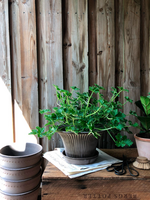 Bergs Potter Bergs Potter DAISY, Raw Grey 30cm