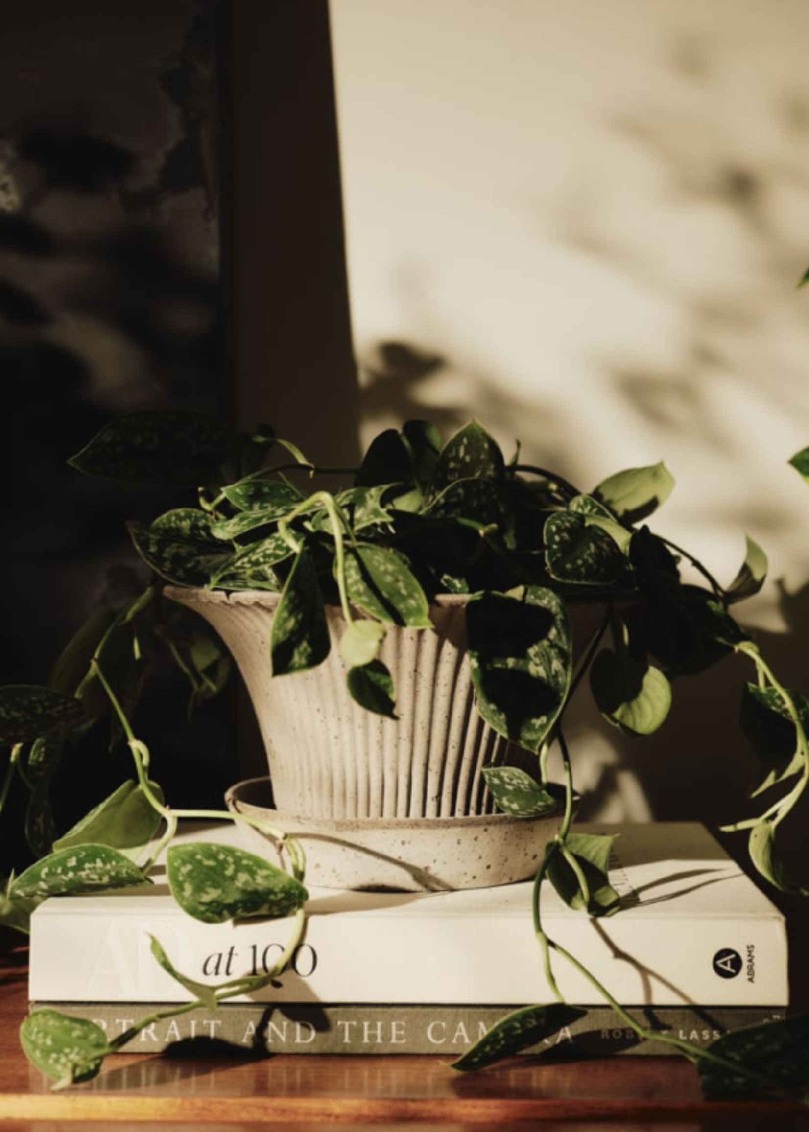 Bergs Potter Bergs Potter DAISY, Raw Grey 30cm