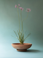 Bergs Potter Bergs Potter ADA, Raw Rosa 25cm