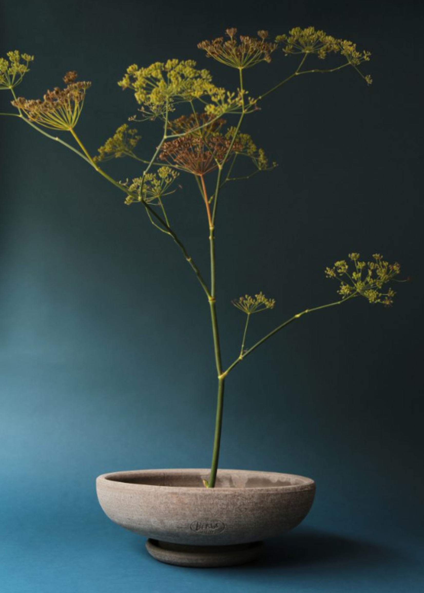 Bergs Potter Bergs Potter ADA, Raw Grey 25cm