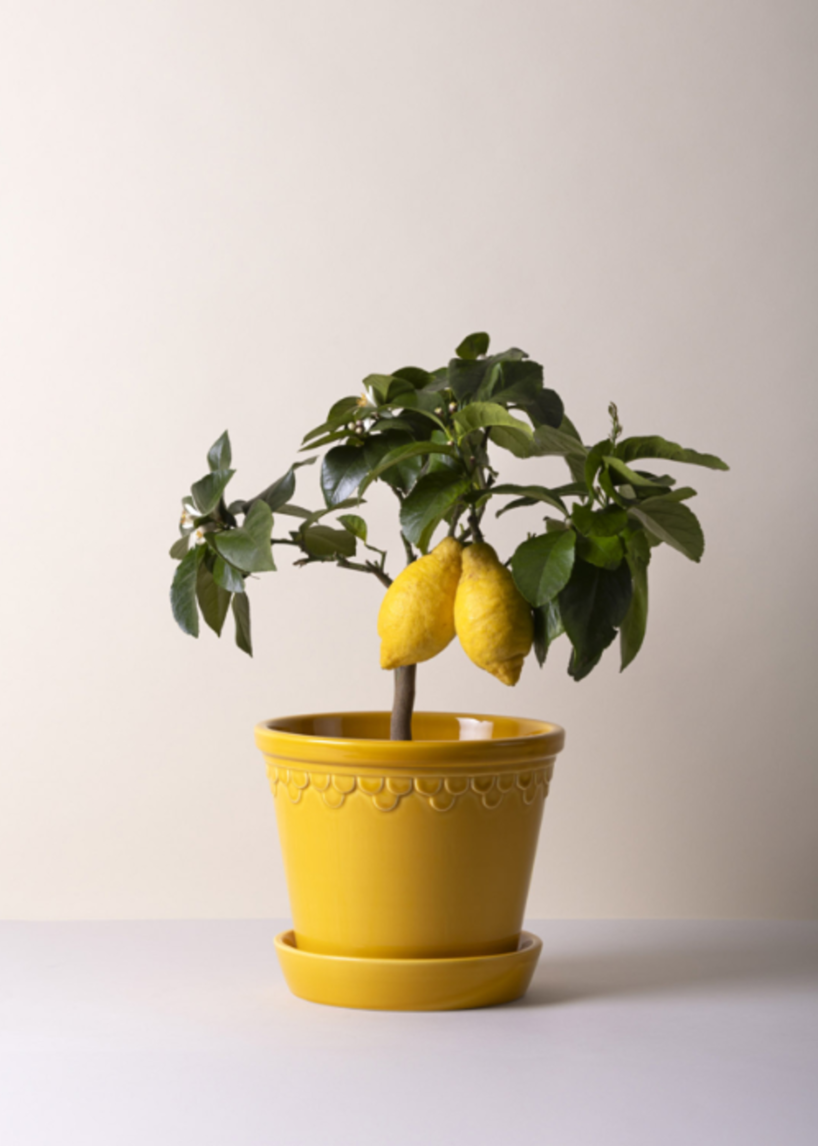Bergs Potter Bergs Potter COPENHAGEN, Glazed Amber Yellow 18cm
