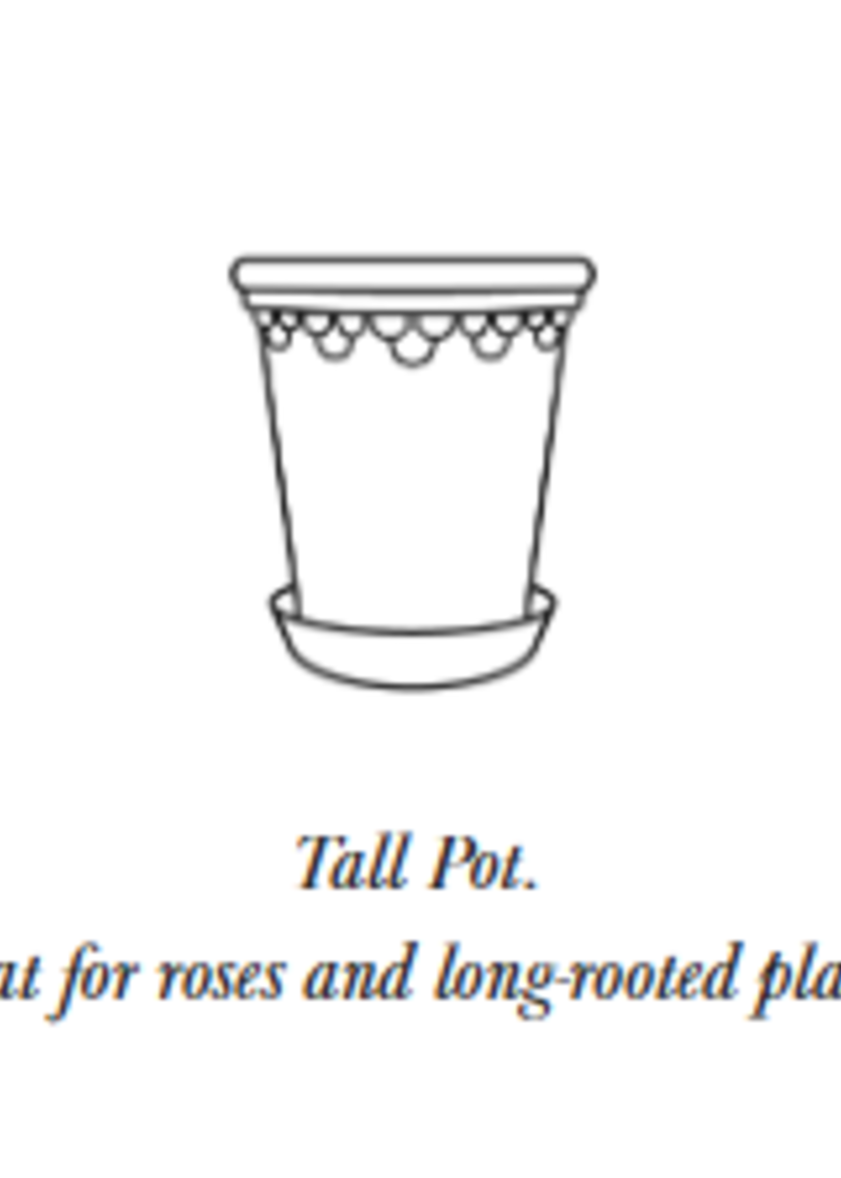 Bergs Potter Bergs Potter COPENHAGEN, Raw Grey 18cm Tall