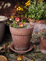 Bergs Potter Bergs Potter SIMONA, Raw Rosa 18cm