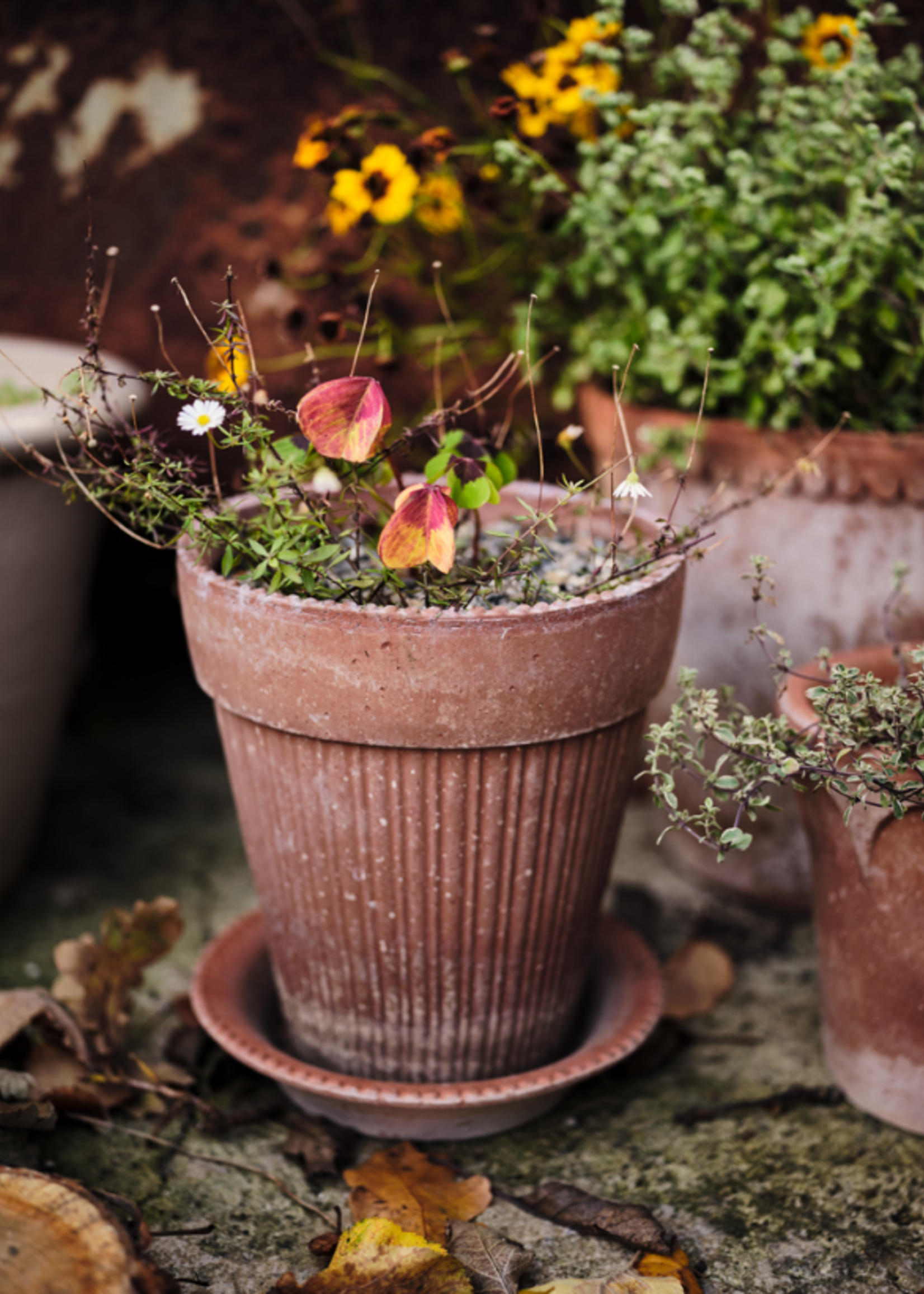 Bergs Potter Bergs Potter SIMONA, Raw Rosa 18cm