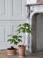 Bergs Potter Bergs Potter COPENHAGEN, Raw Rosa 21cm Low