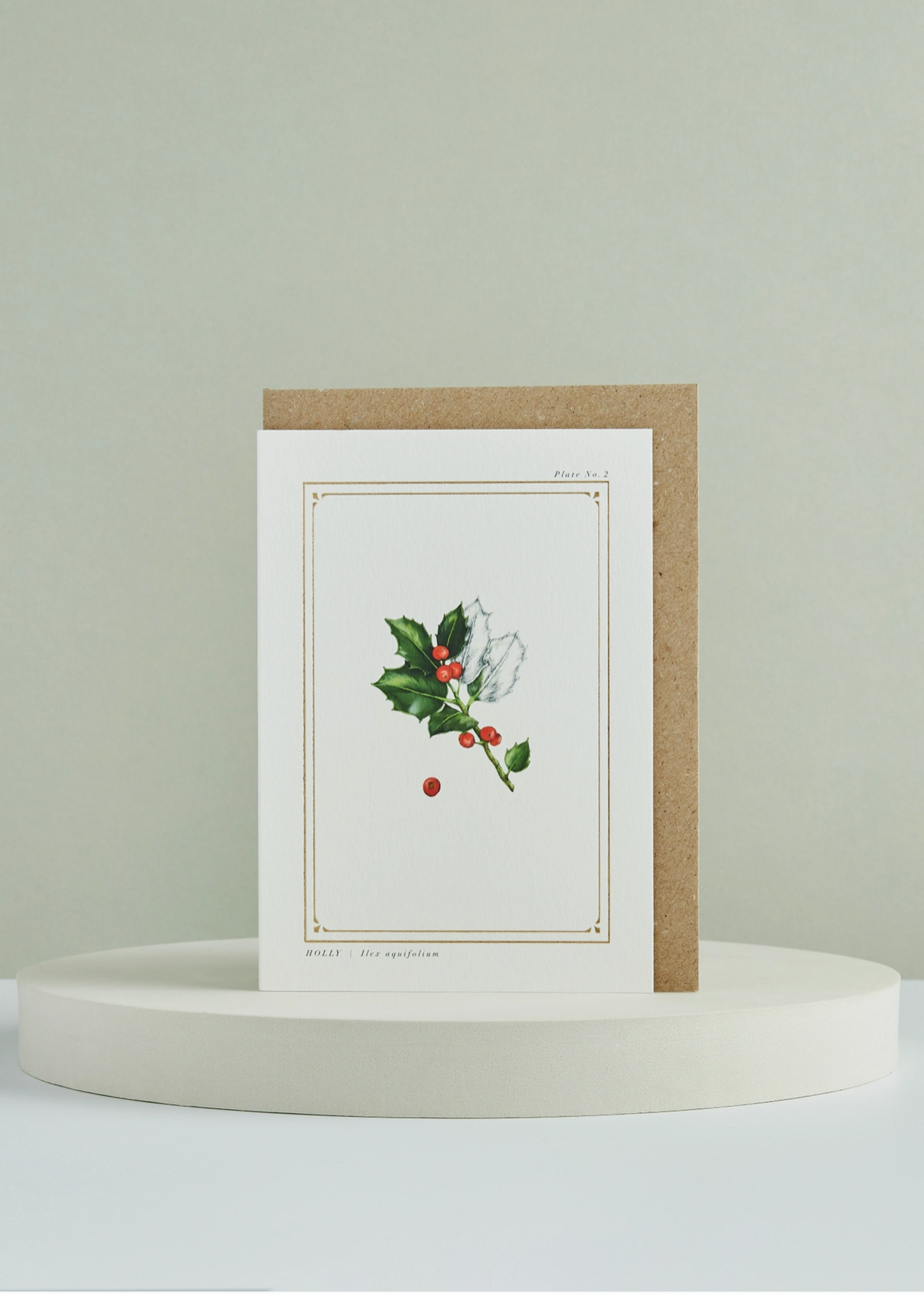 Catherine Lewis Design Catherine Lewis, Holly Card