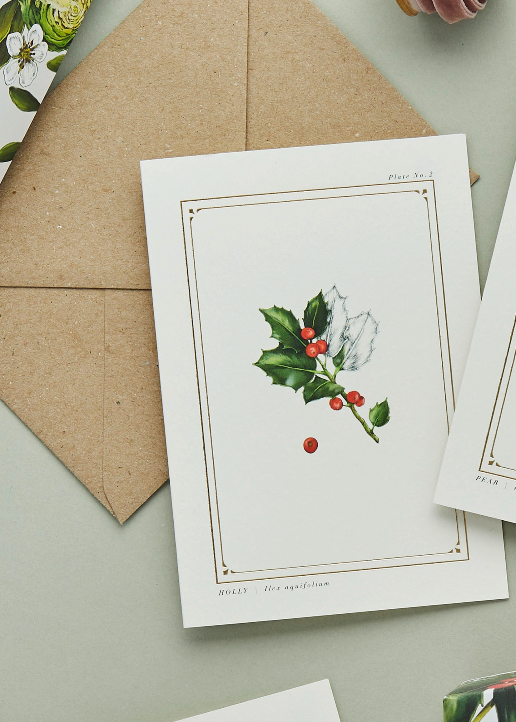 Catherine Lewis Design Catherine Lewis, Holly Card
