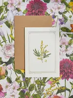 Catherine Lewis Design Catherine Lewis, Mimosa Card