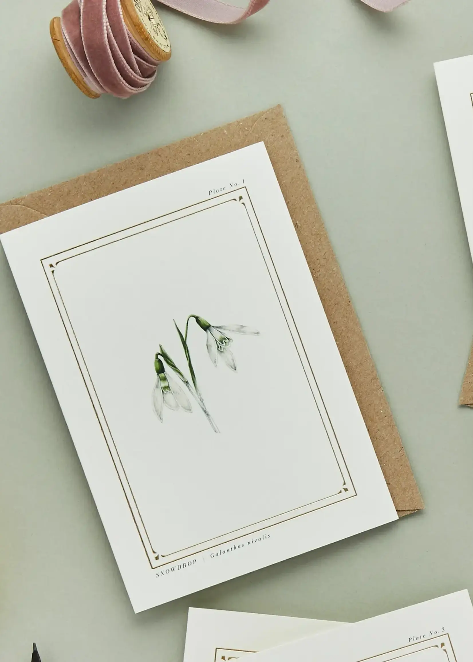 Catherine Lewis Design Catherine Lewis Designs, Snowdrop Card (White)