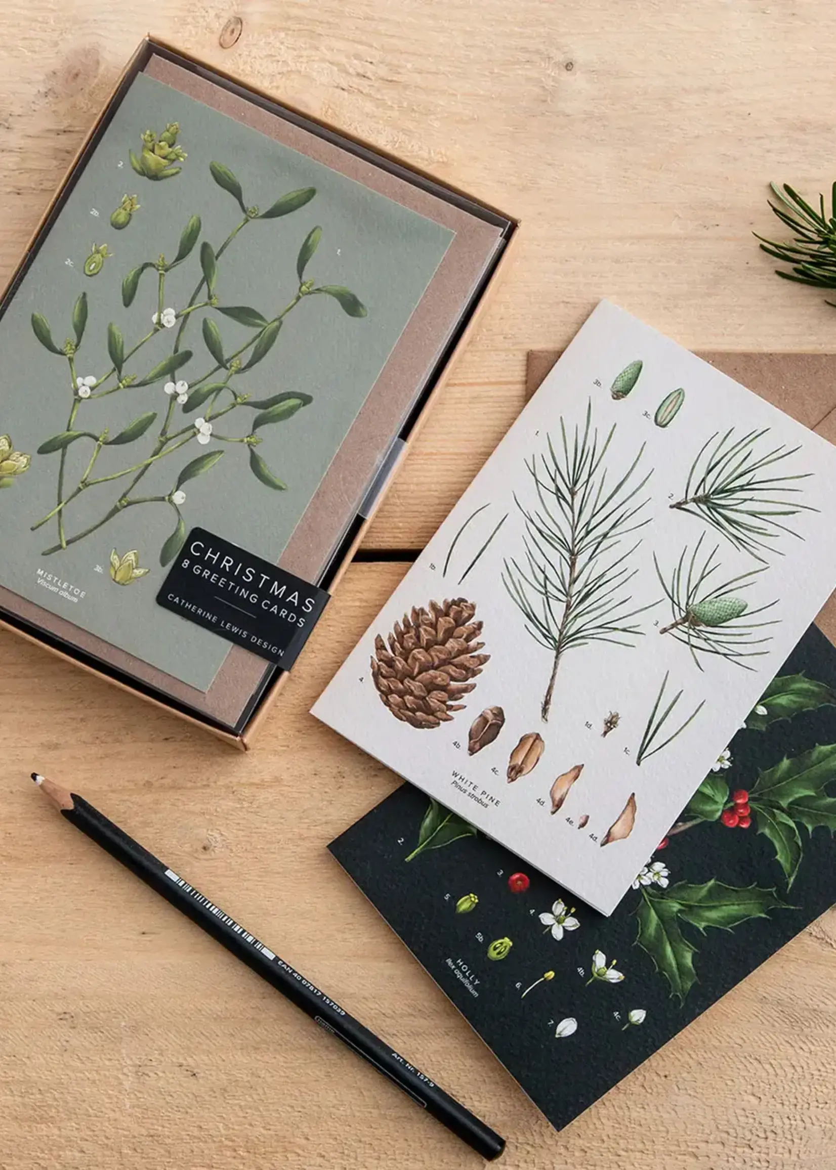 Catherine Lewis Design Catherine Lewis, Box Set Holiday Cards, Species Range