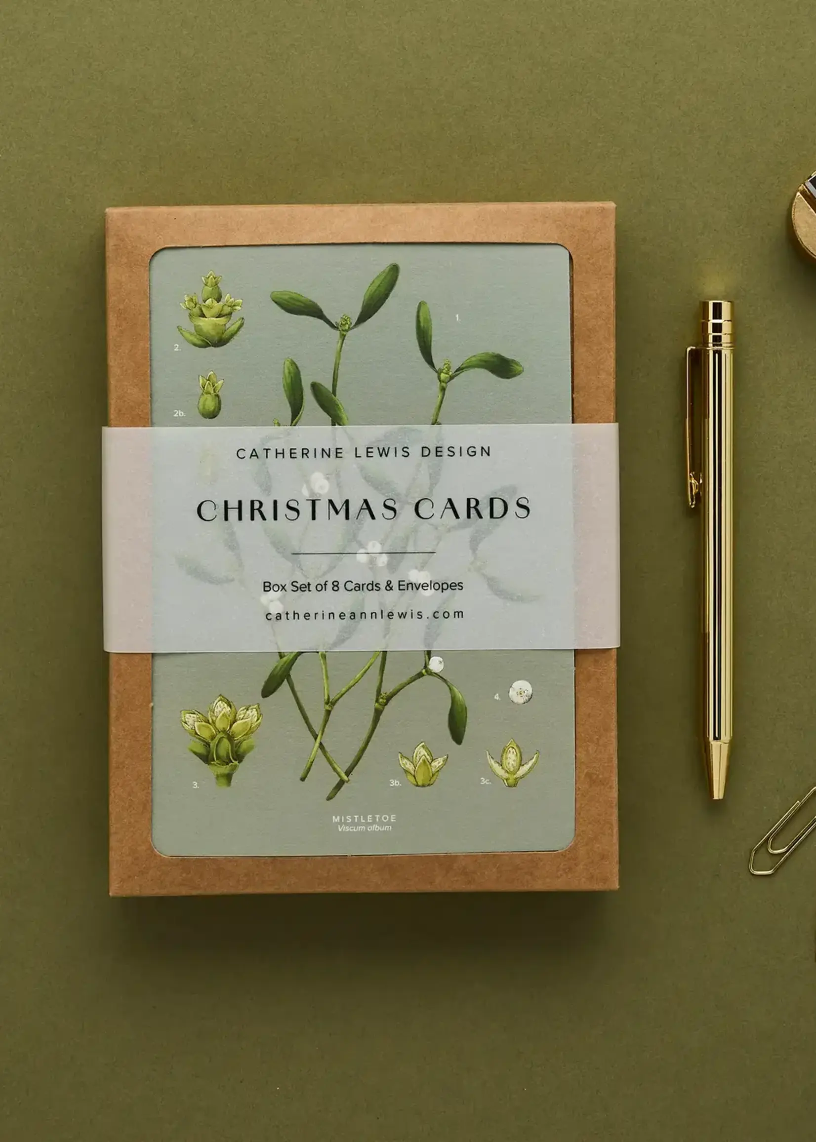 Catherine Lewis Design Catherine Lewis, Box Set Holiday Cards, Species Range