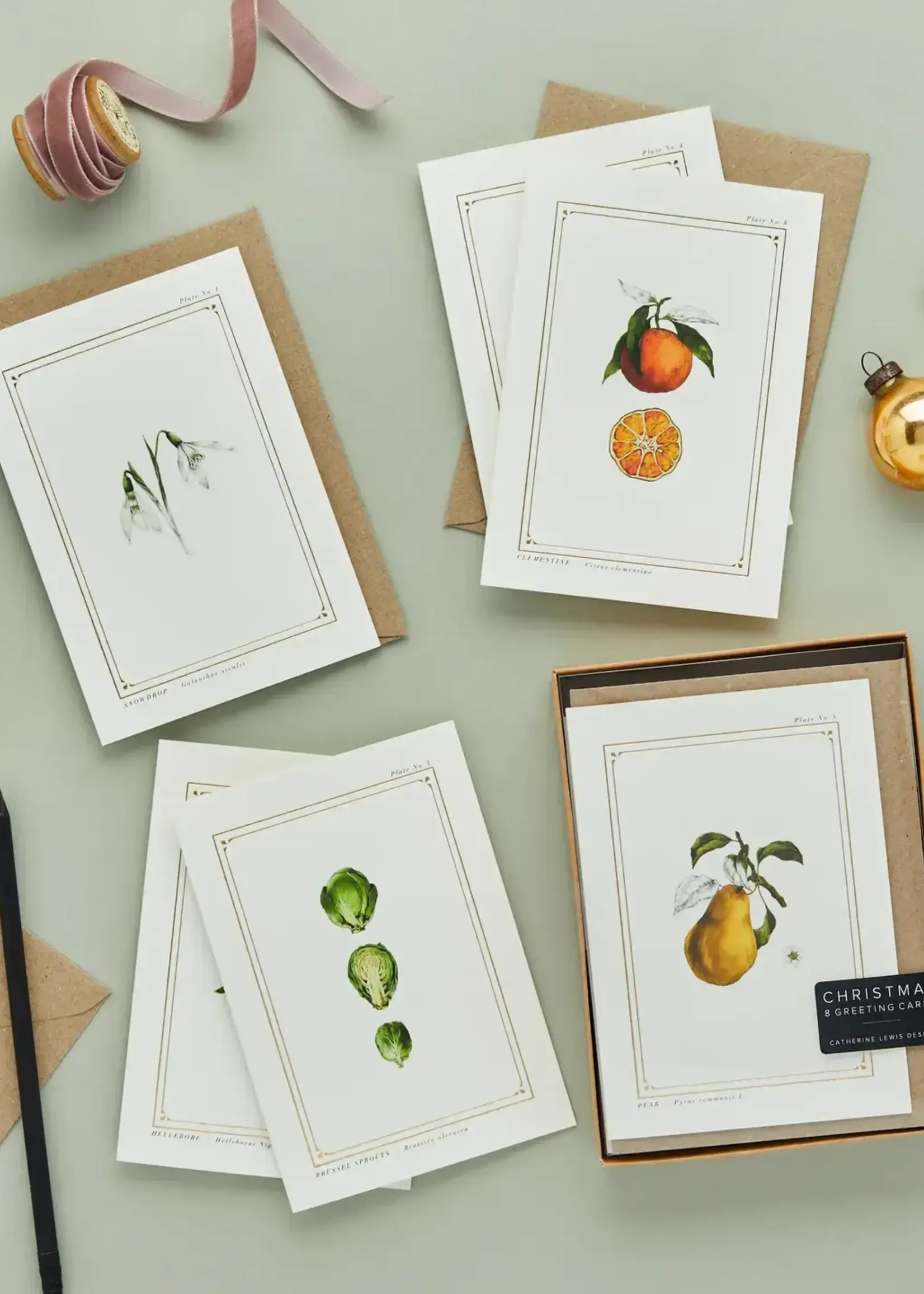 Catherine Lewis Design Catherine Lewis, Holiday Box Set, Botanist Series